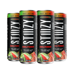 Watermelon Wave Seltzer -  4PK