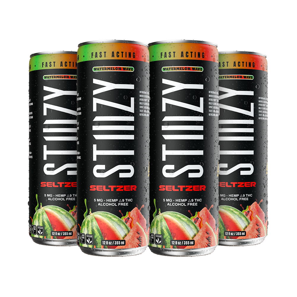 Watermelon Wave Seltzer - 4PK