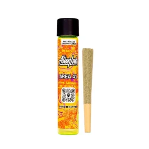Area 41 | 1gram