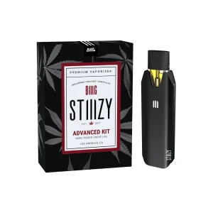 Original BIIIG STIIIZY Battery