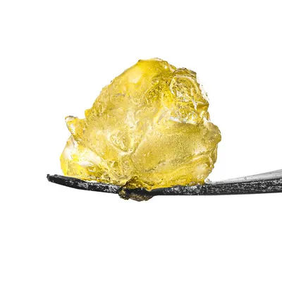 Gelato 41 | 1gram