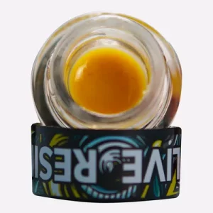 Nectarine Haze | 1gram