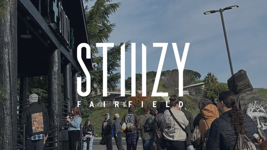 STIIIZY cannabis delivery