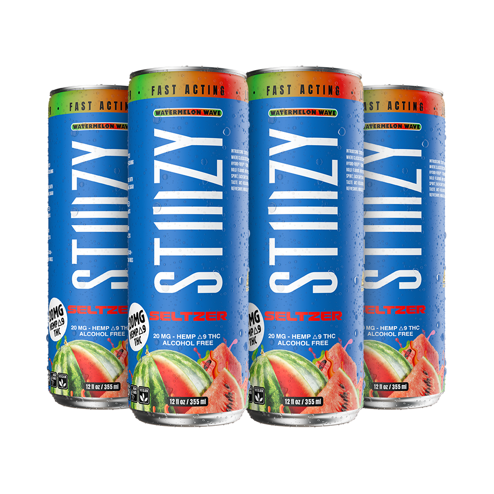 Watermelon Wave Seltzer - 4PK - Image 3