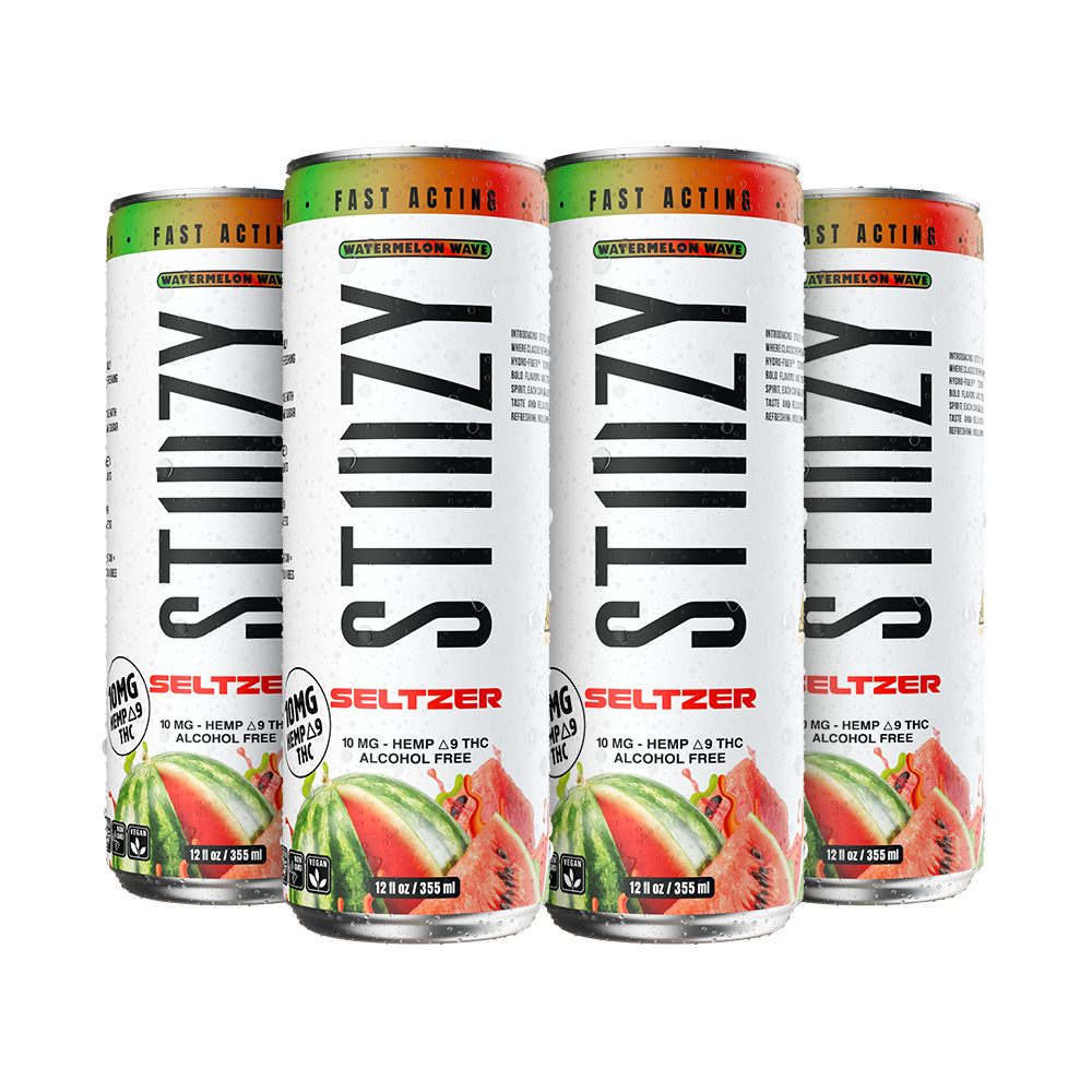Watermelon Wave Seltzer - 4PK - Image 2